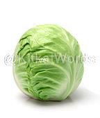 Cabbage Image