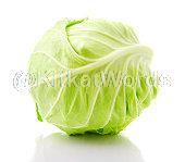 Cabbage Image