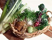 Celeriac Image