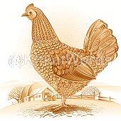 Cock Image