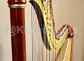 Harp Image