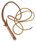 Whip Image