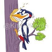 Woodpecker Image