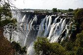 Zambezi Image