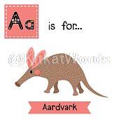 aardvark Image