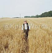 barley Image