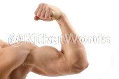 biceps Image