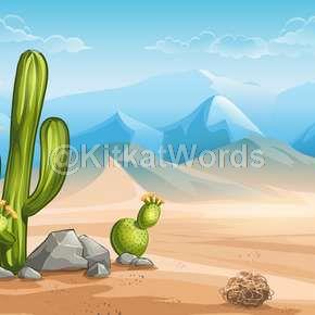 cactus Image