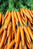 carrot Image