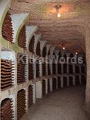 cellar Image