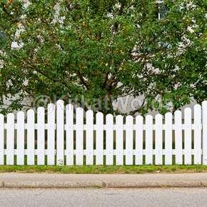 fence Image