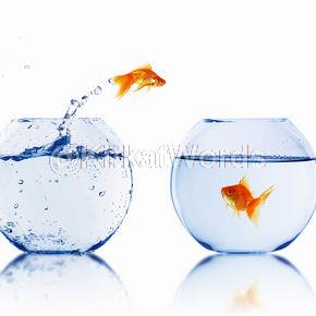 fishbowl Image