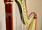 harp Image