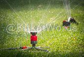 irrigate Image