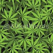 marijuana Image