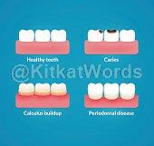 molar Image