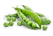 pea Image