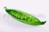 pea Image