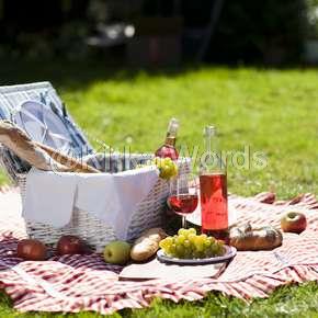 picnic Image
