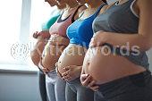 pregnant Image