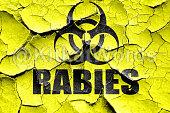 rabies Image