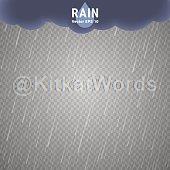 rainwater Image