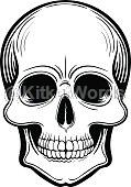 scull Image