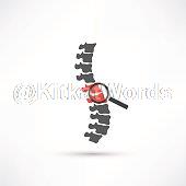 spine Image
