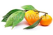 tangerine Image