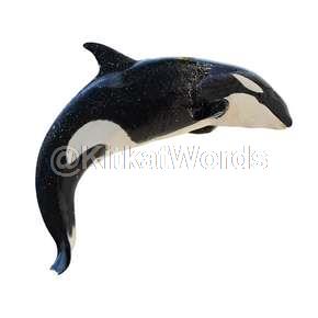 whale Image